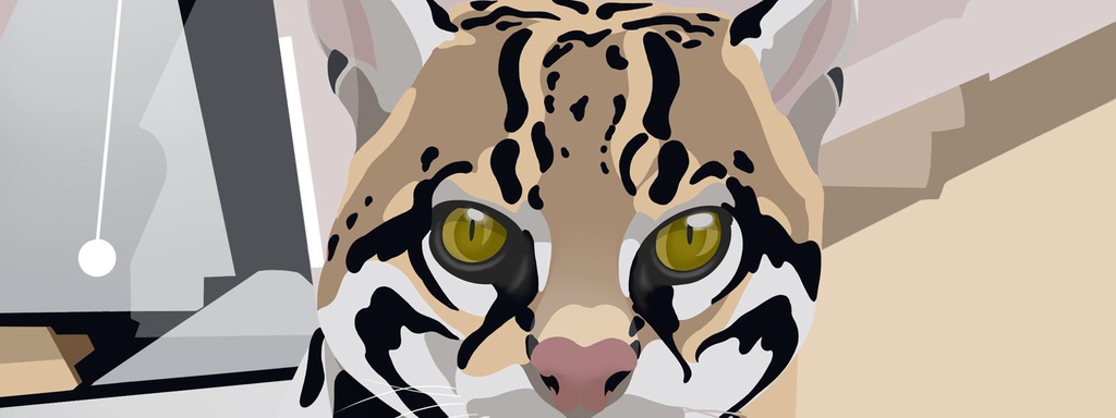 banner_image