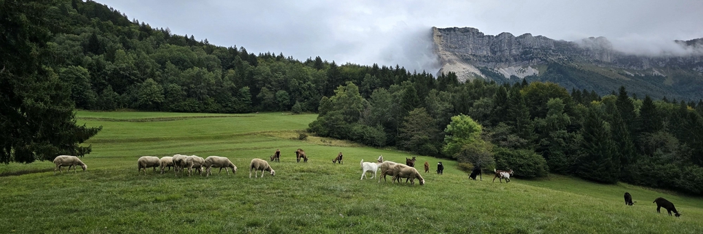 Bienvenue chez Le Petit Blanc