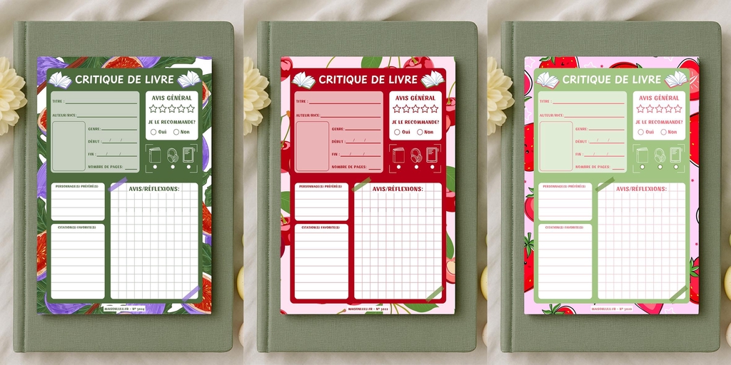 Maison LuLu Fr Papeterie Française pour amoureux de lecture fait en France à nantes critique et carnet de livre