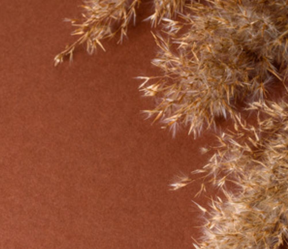 product_list_image_cover