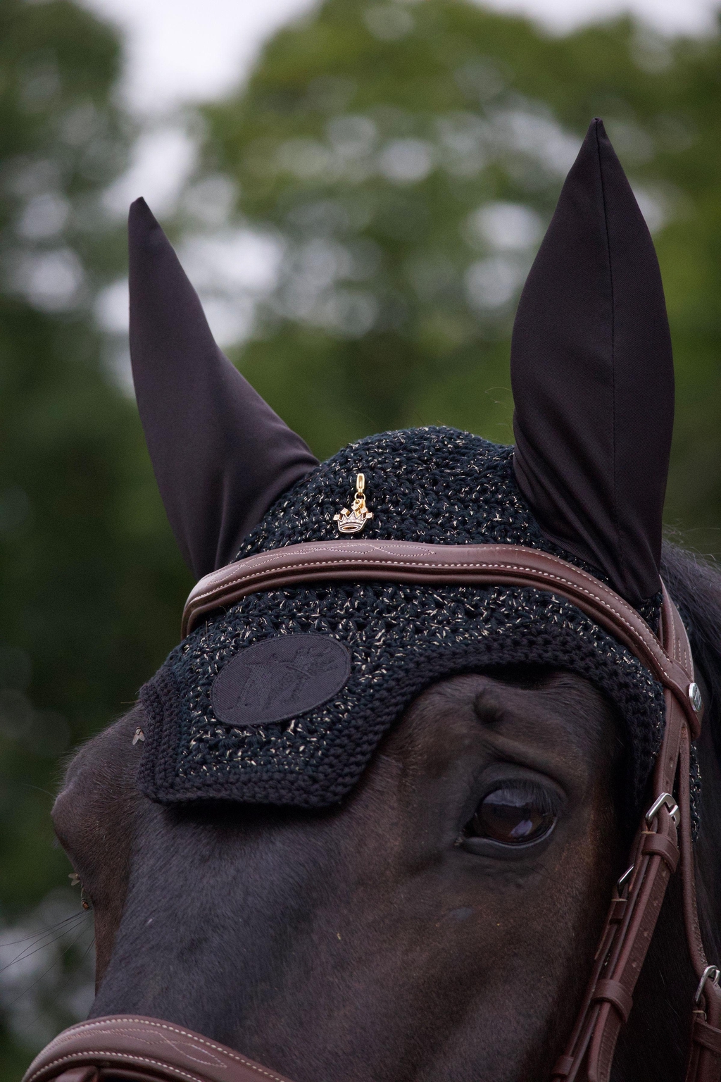 banner_image