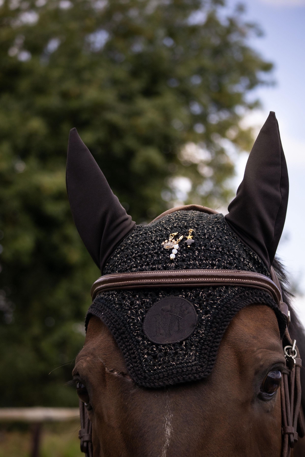 banner_image