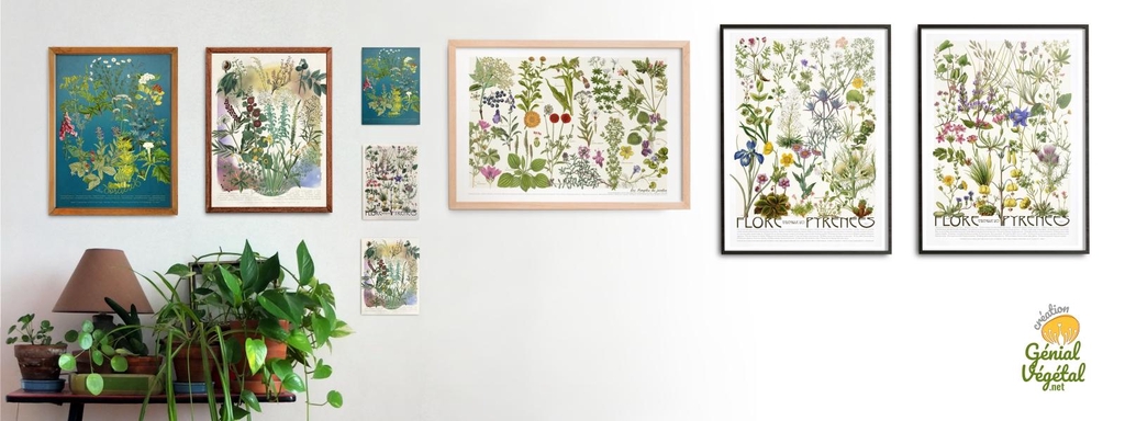 affiches botaniques création Génial Végétal