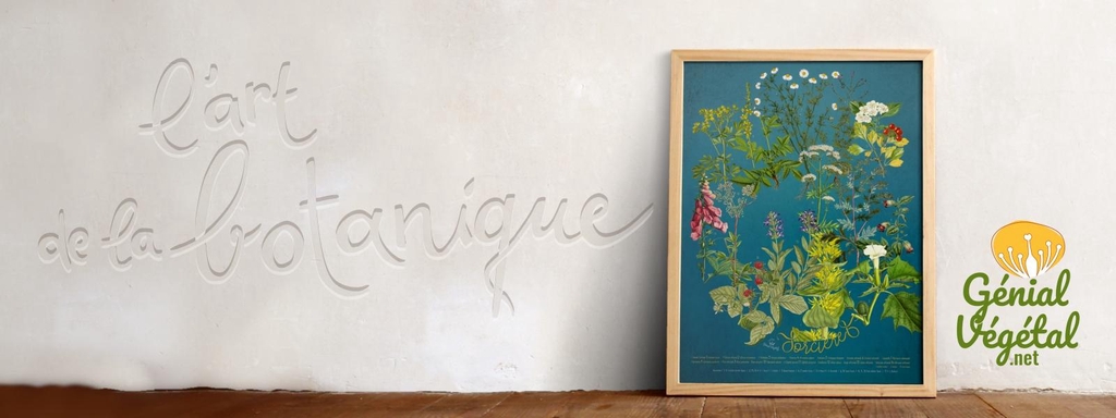 L'art de la botanique