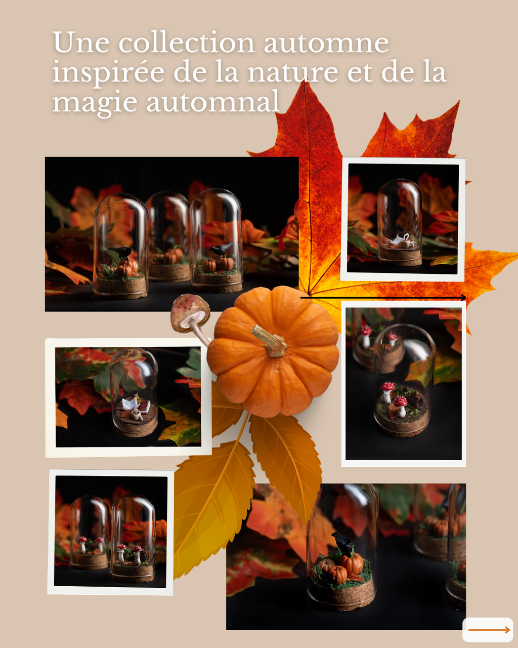 La collection d'automne [édition limitée]