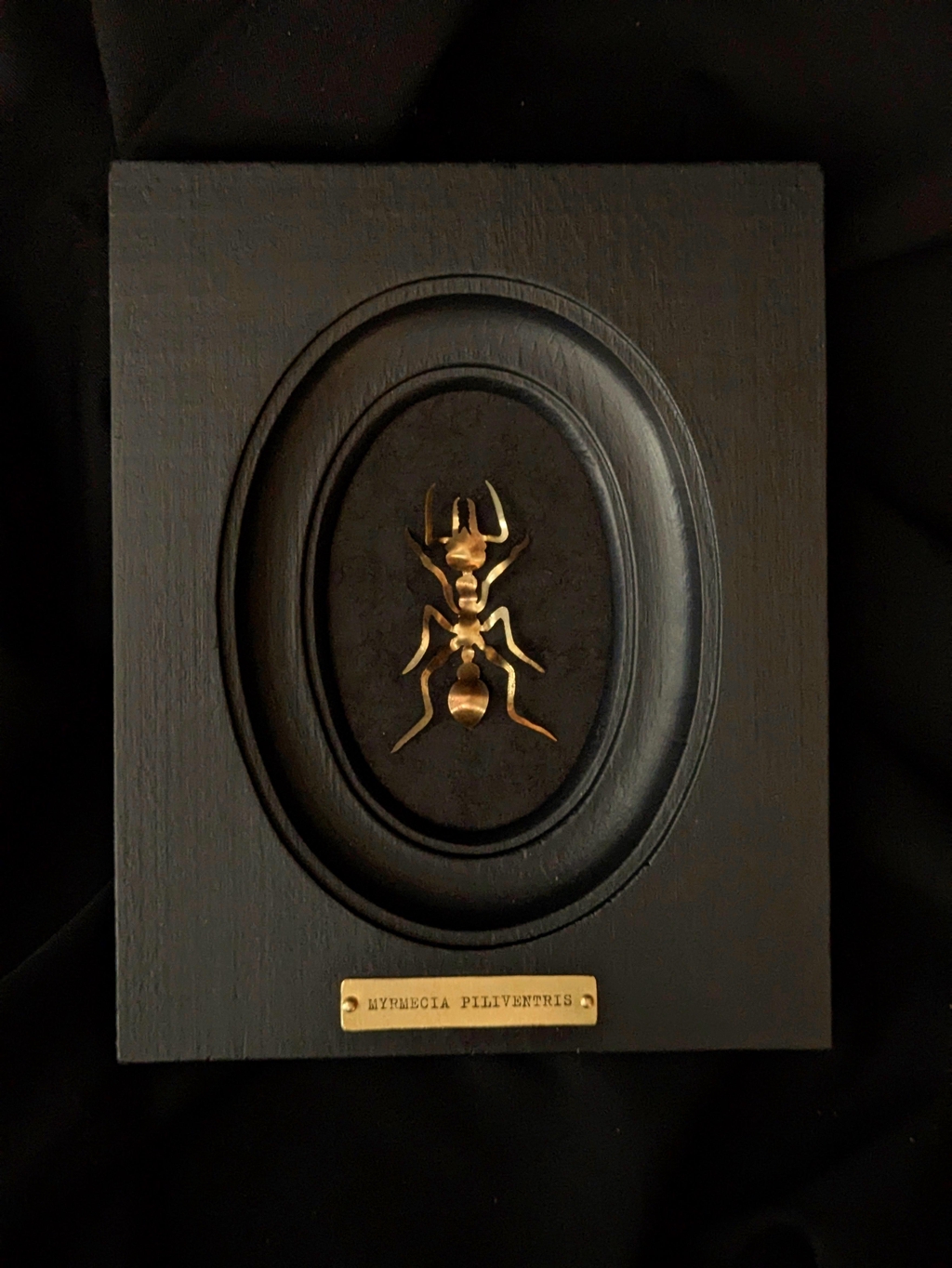 product_list_image_cover