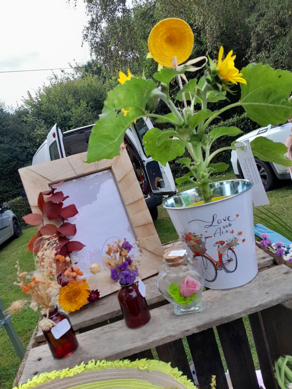 Une fleur qui dure dans le temps : la rose éternelle 