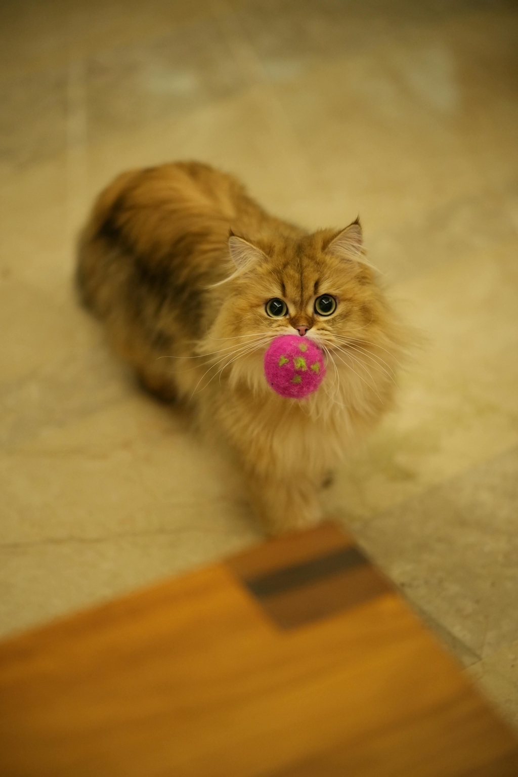 banner_image