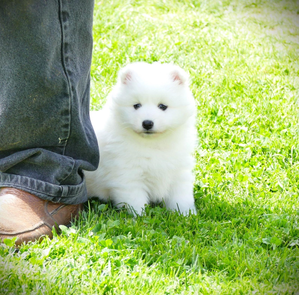 banner_image