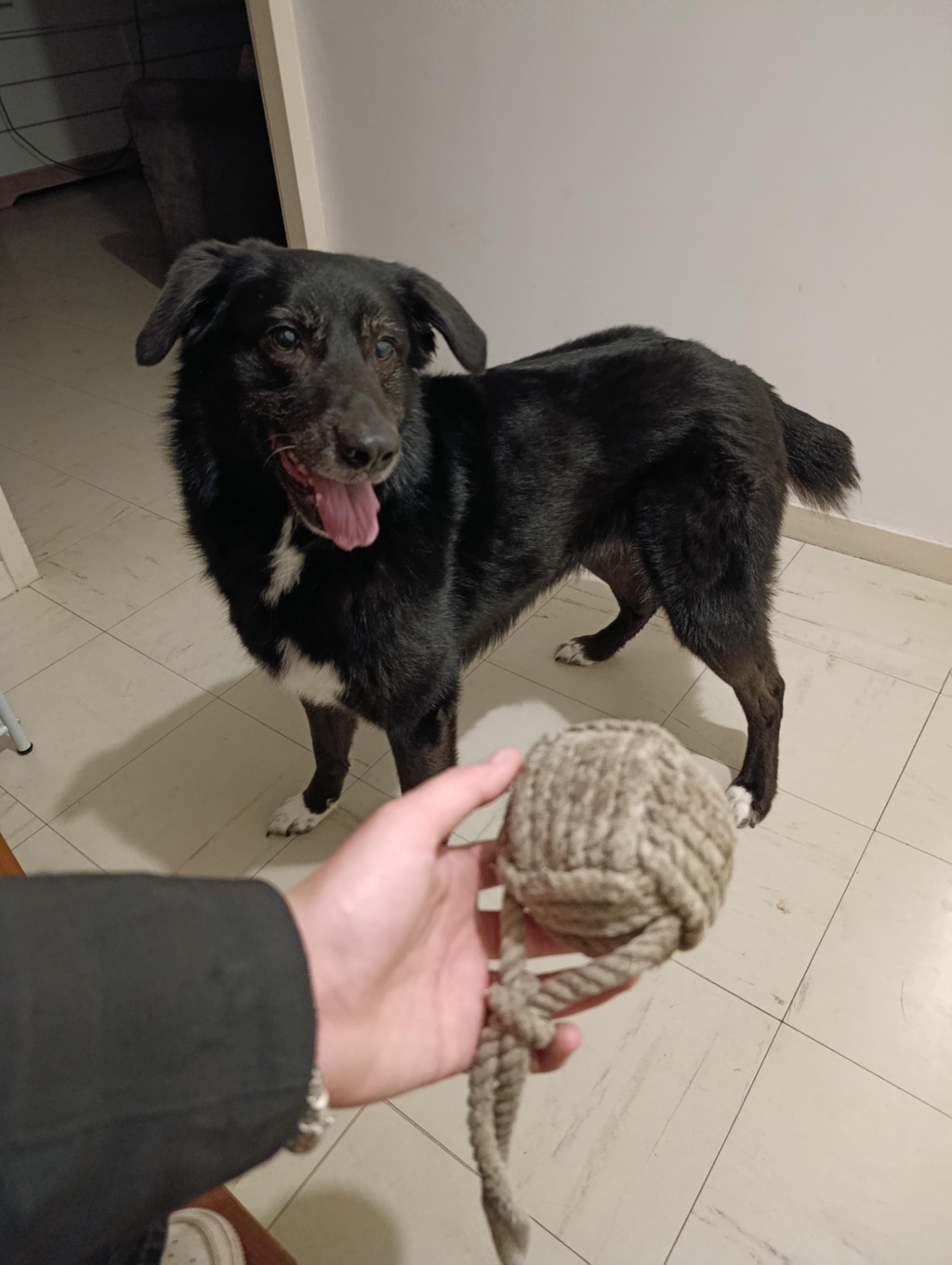 banner_image