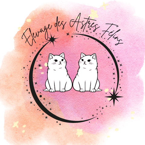 store_logo