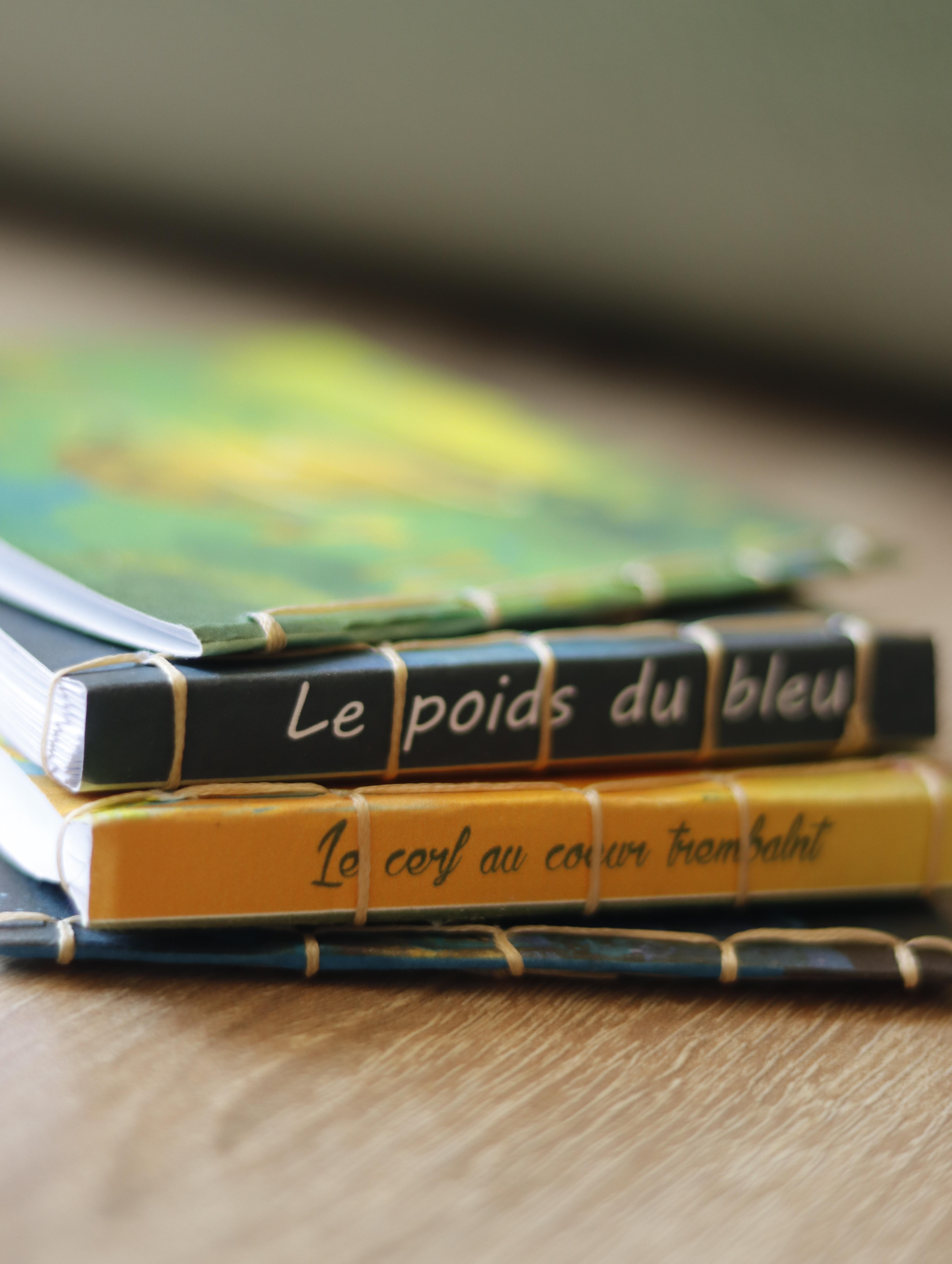 Mini livres - Histoires