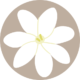 store_logo