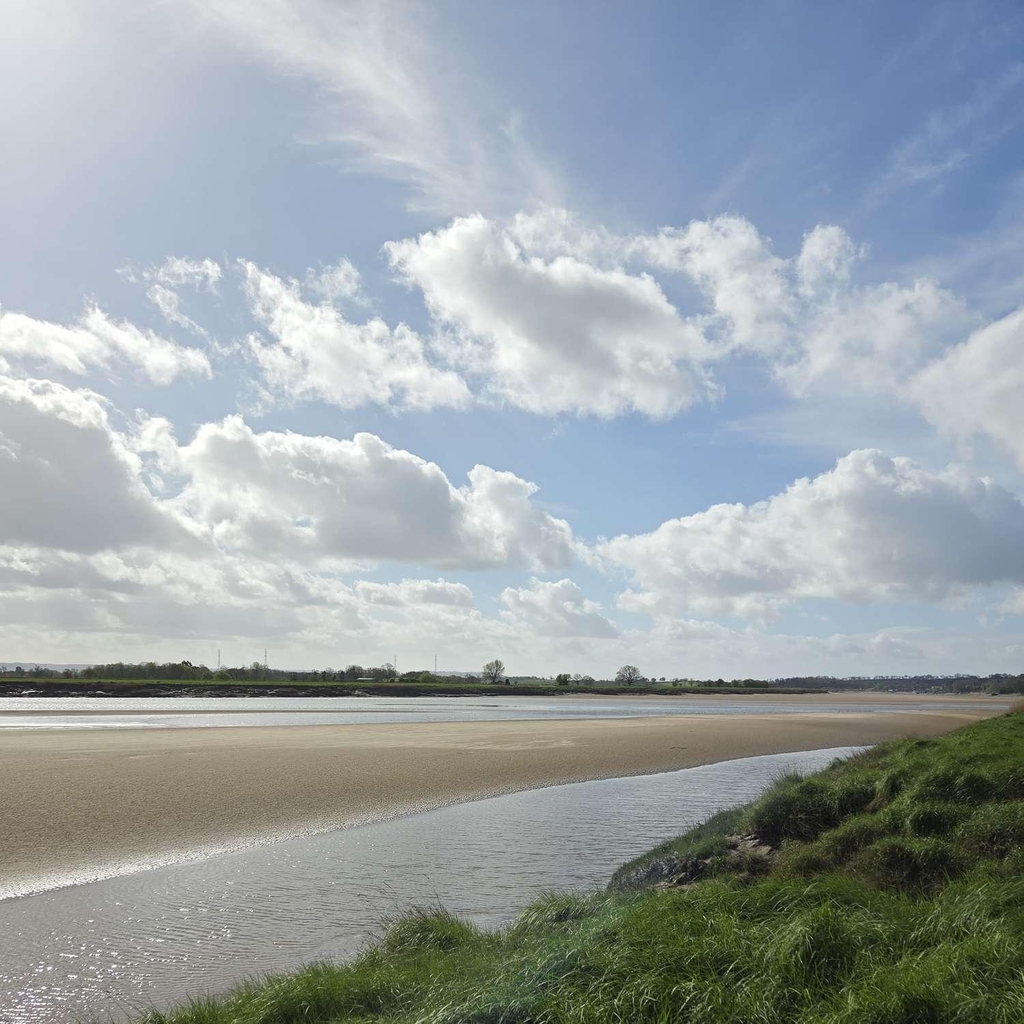 River Severn Forest of Dean Gloucestershire 