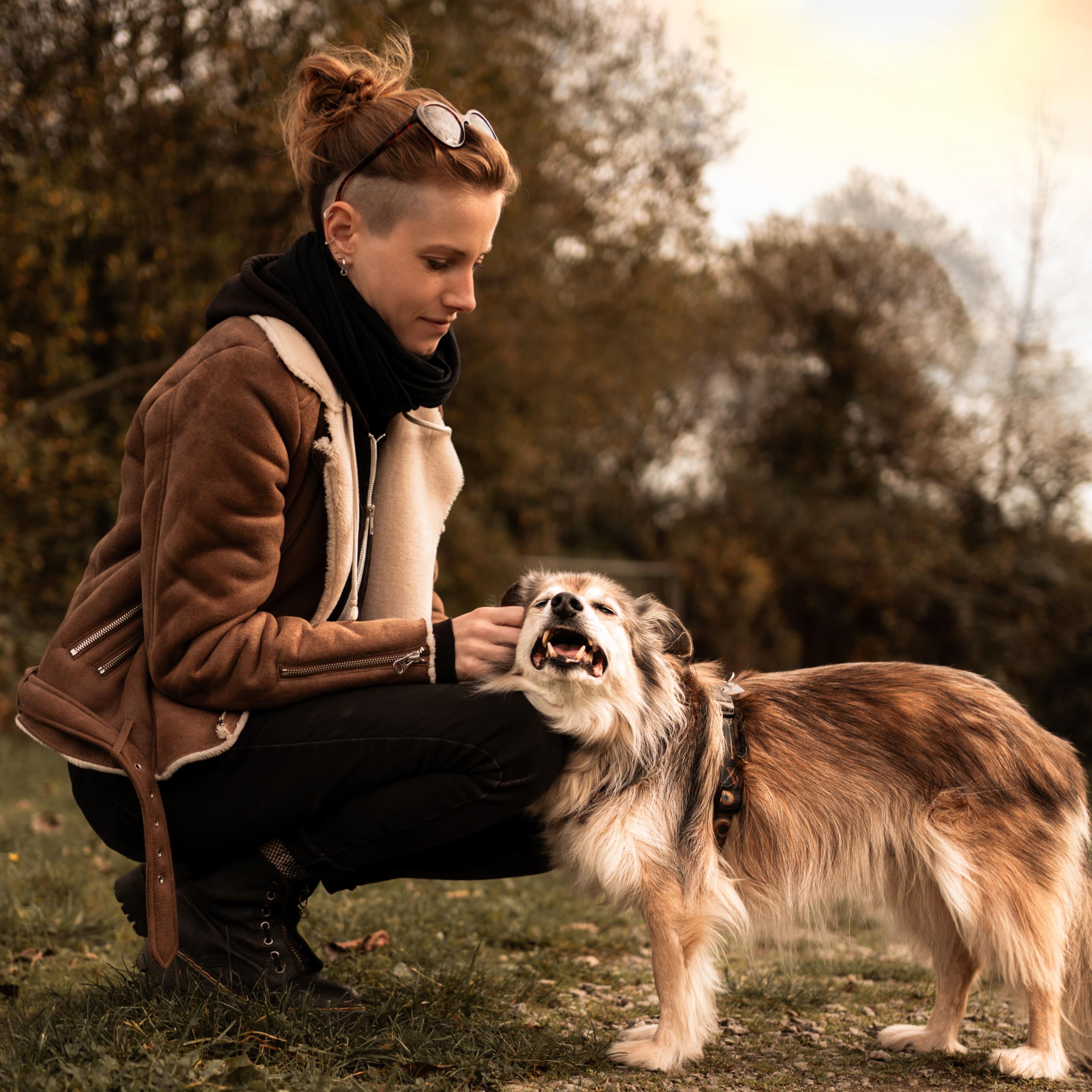 Moi c’est Marie, avec mon super petit assistant Ethan !
La découverte des sangles enduites s’est faite pendant ma formation d’éducateur canin à Nature de chien, utilisées pour des longes par des collègues.
Créative de nature, me voici à faire 25 colliers et 36 longes pour un seul Bibou… L’idée de monter mon entreprise arrive quelques mois plus tard en septembre 2024.
Mon atelier est en Bretagne, tout est fait à la main dans mon studio. La gamme est végane, colorée, personnalisable : l’idée est de faire des projets uniques ensemble !
Défendant une éducation bienveillante, il n’y aura pas de colliers étrangleurs, ni d’outils coercitifs (ces modèles-là sont cependant disponibles pour la gamme humaine 🤫).
Gamme humaine qui arrive quelques mois plus tard, pour explorer de nouveaux designs et s'amuser avec les matières et couleurs.
N’hésitez pas à me contacter sur Instagram !