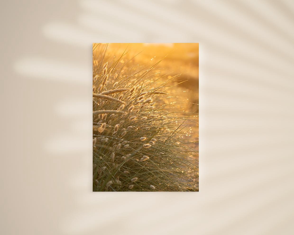 Postkarten & Printaktikel