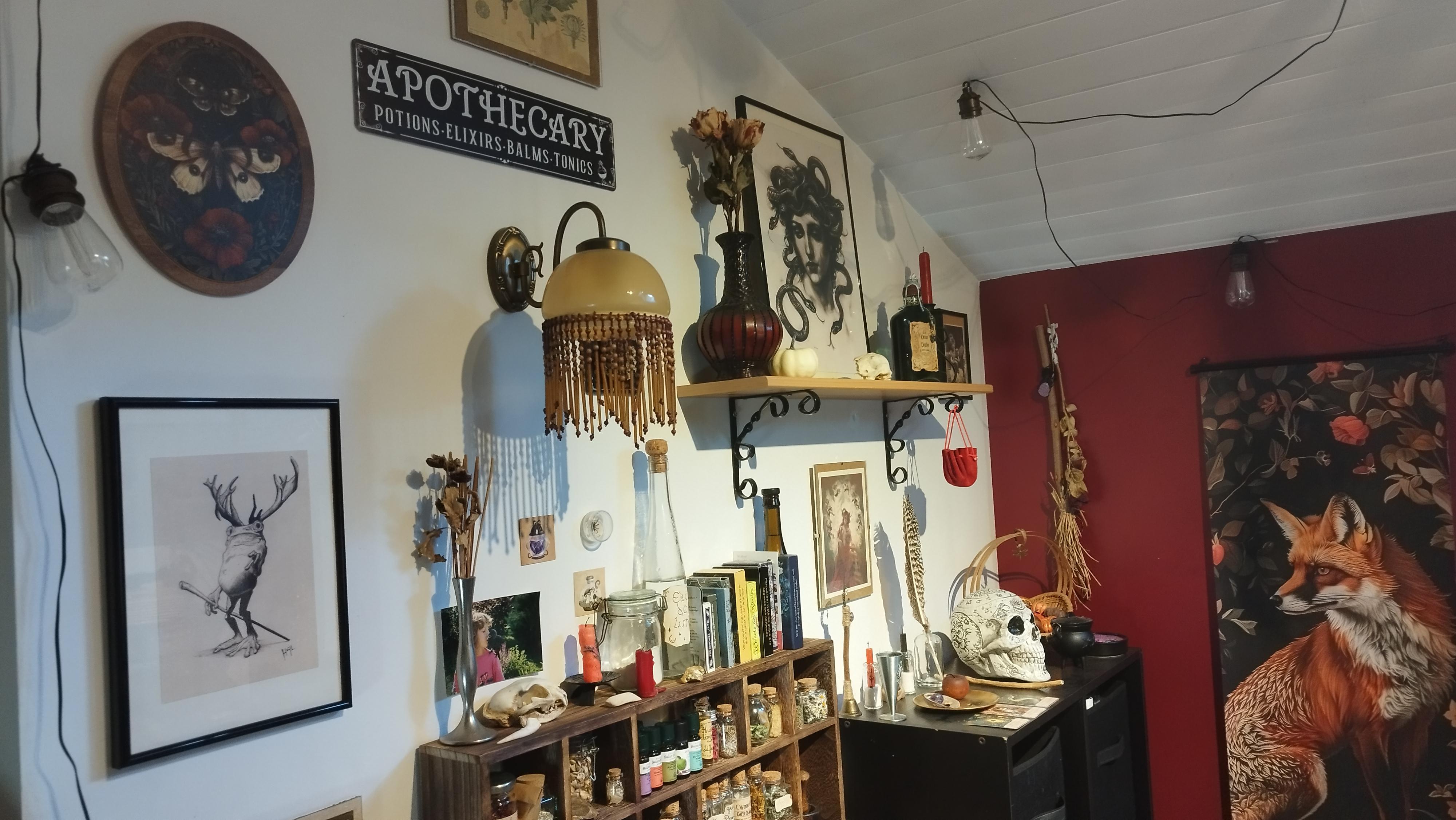 🔮🏺La petite Brocante des Ombrages 🪄🌝