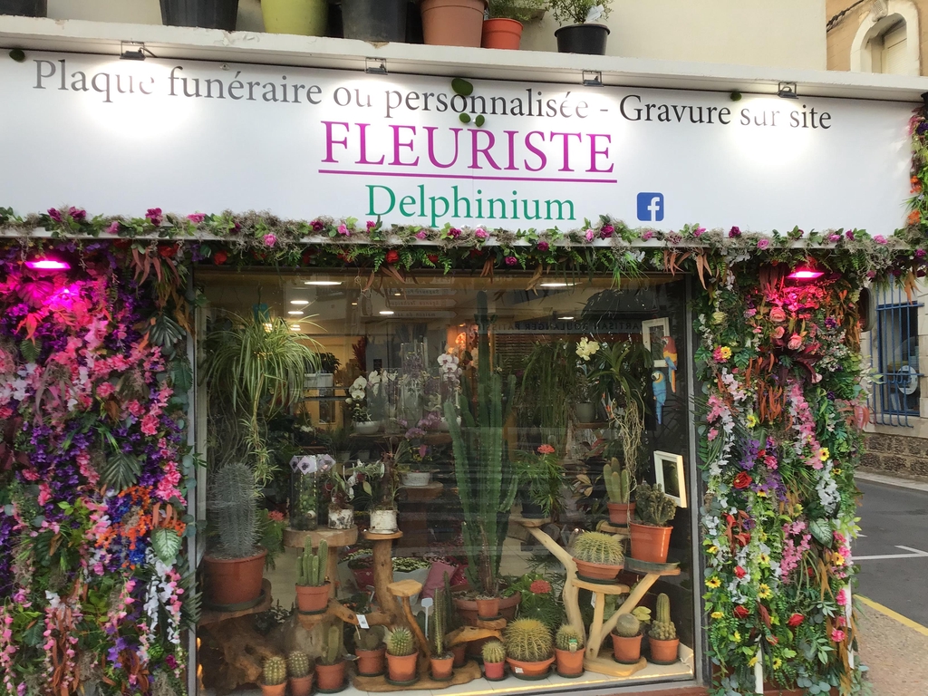 Delphiniums fleurs, toutes compositions, plantes intérieur et extérieur, livraison direct en zone proche ou envois de produits non périssables.