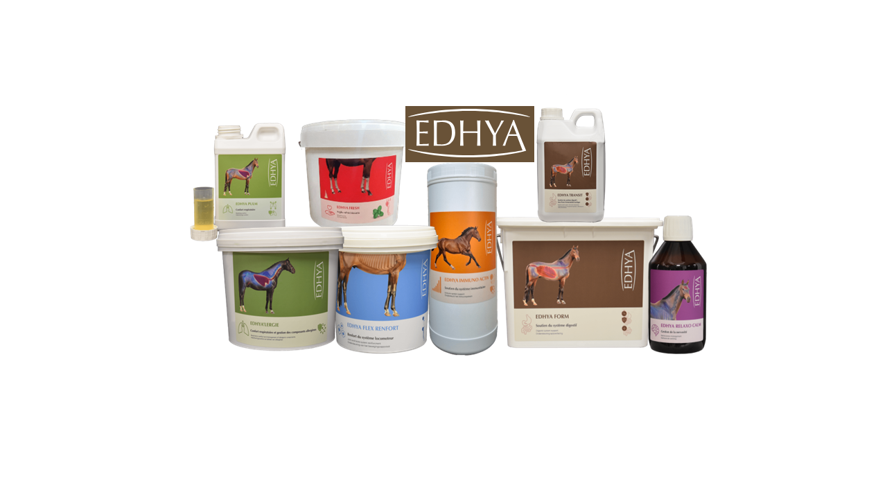 Edhya