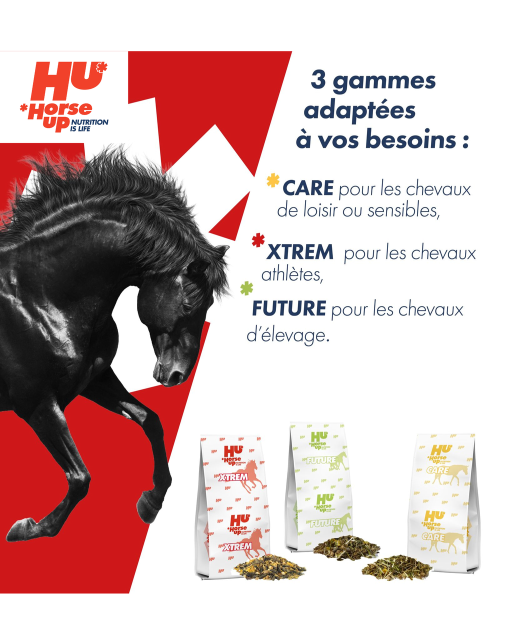 Découvrez Horse Up Nutrition, une marque française dédiée à une alimentation équine de qualité, formulée pour allier digestibilité, performance et simplicité d’usage.
Grâce à un procédé de fabrication en floconné et à une sélection rigoureuse des ingrédients, Horse Up propose des aliments équilibrés et faciles à assimiler, adaptés à tous les profils de chevaux.