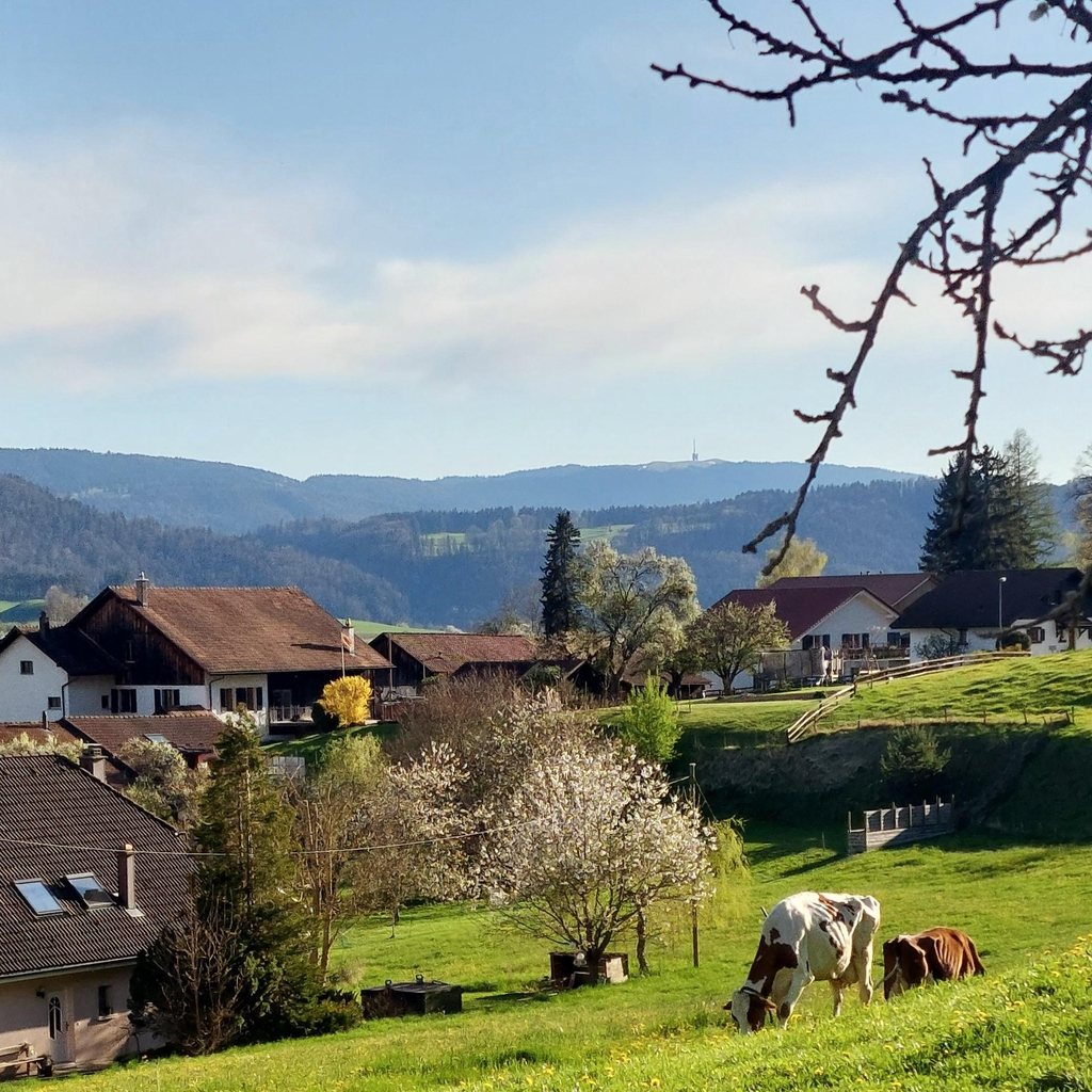banner_image