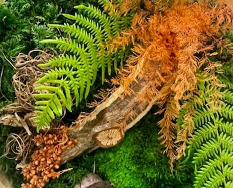 banner_image