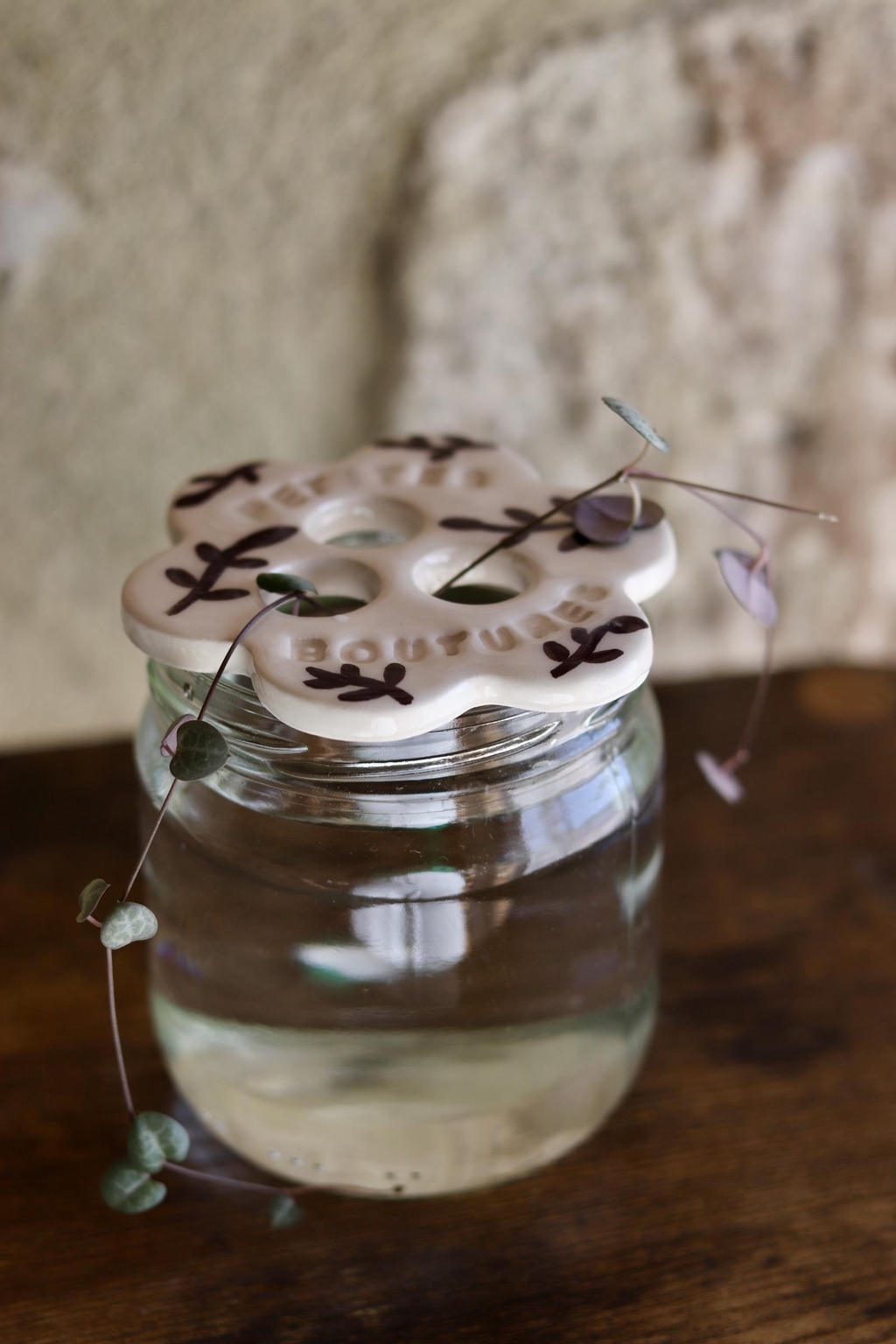 Bouture, plante, disque de bouturage, céramique, idée cadeau, cadeau artisanal 