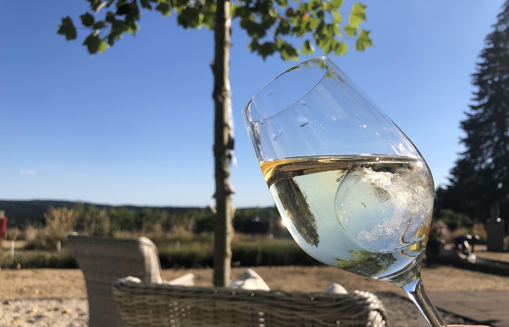 Wein und Natur erleben