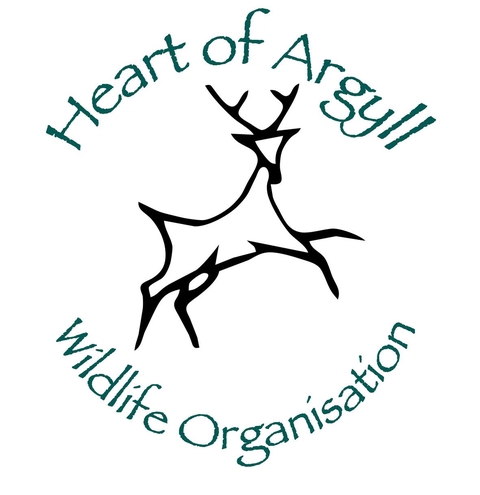 store_logo