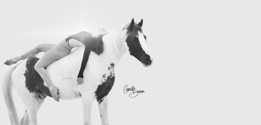 banner_image