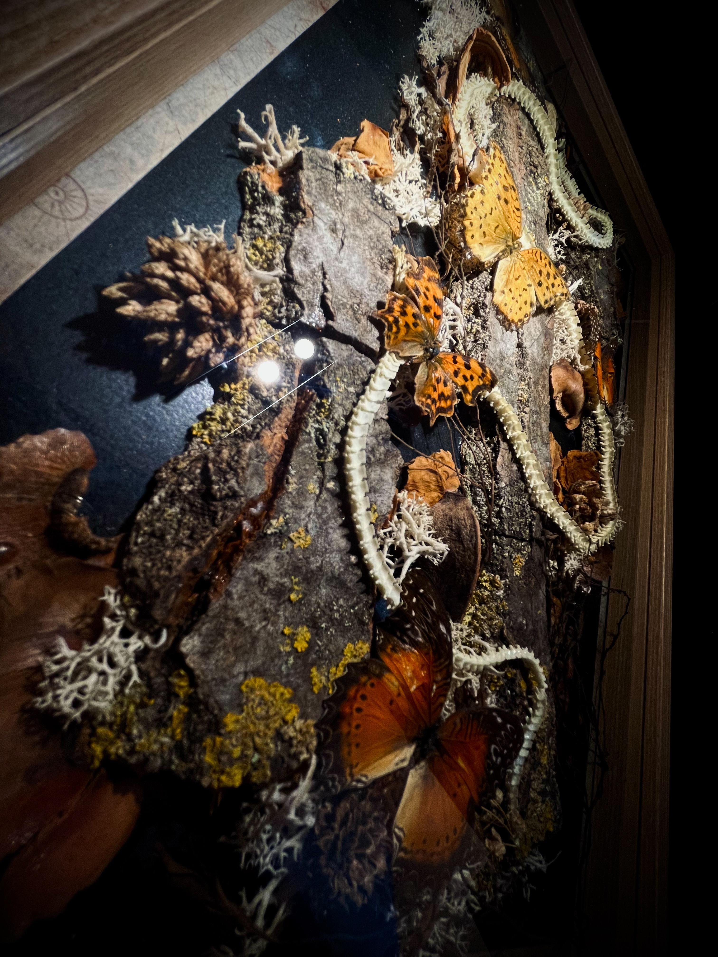 Grand cadre avec décors naturels, feuilles, écorces. Surplombé d’une longue colonne vertébrale de serpent des blés, nettoyée professionnellement et des papillons aux teintes automnales