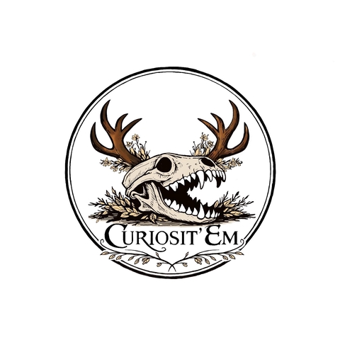 Logo représentant un crâne de renard, orné d’une paire de bois de cerf et de végétaux 
Inscription: Curiosit’Em