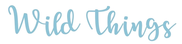 wild things gift shop