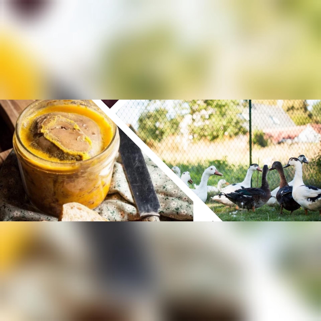 banner_image