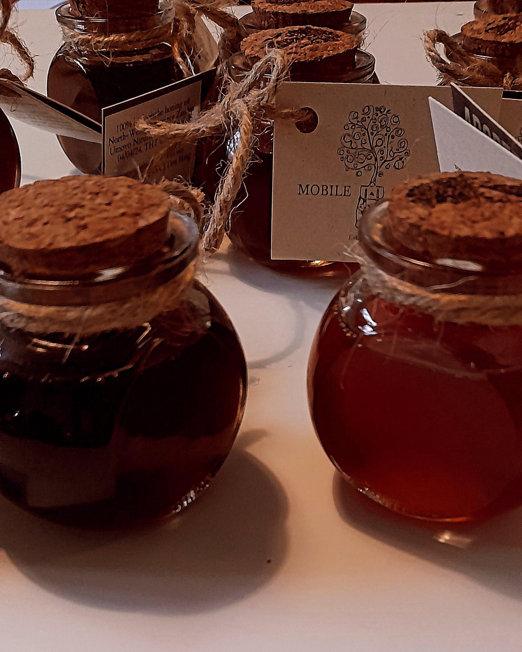 van het bos, voor het bos