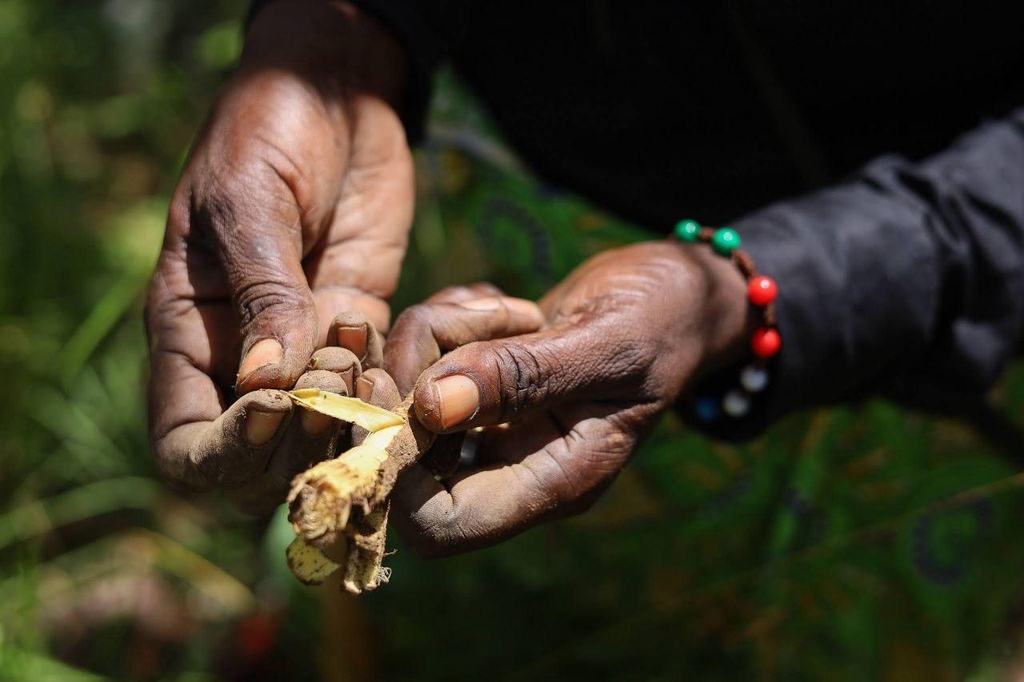van het bos, voor het bos