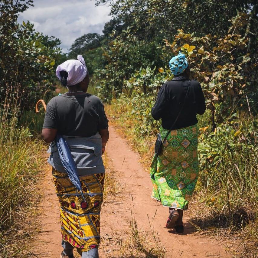 van het bos, voor het bos