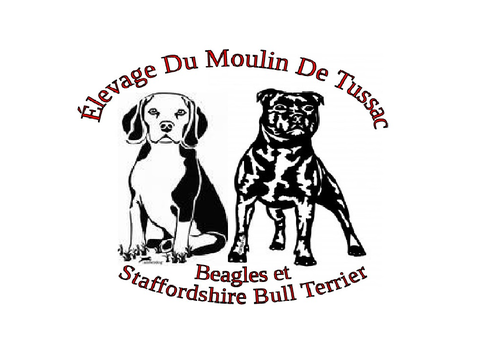 store_logo
