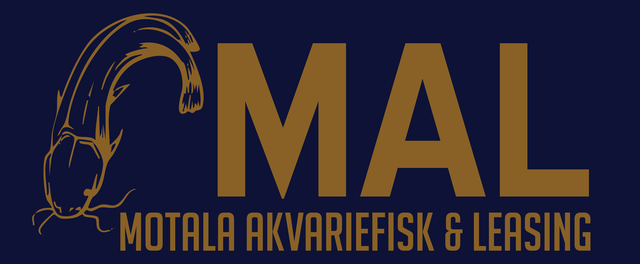 store_logo