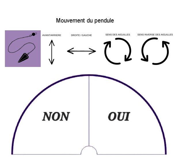 Exercice : Apprendre à lire les mouvements du pendule