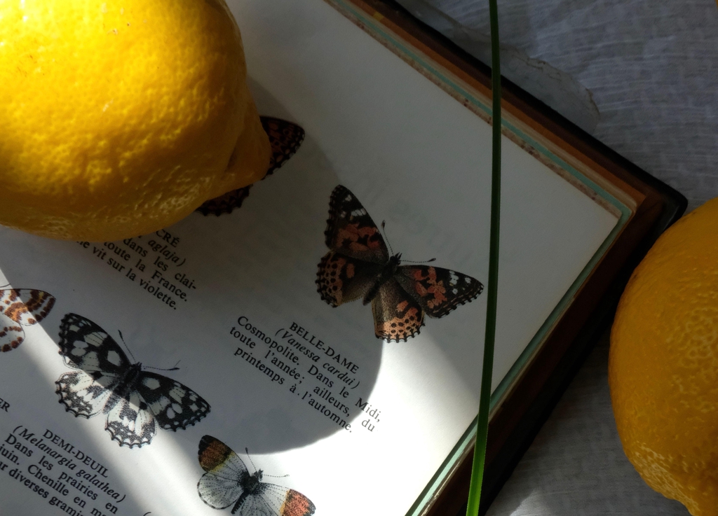 banner_image