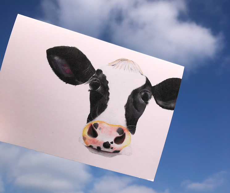 Handmade polymer clay and sterling silver jewellery inspired by the colour and contrast of nature.