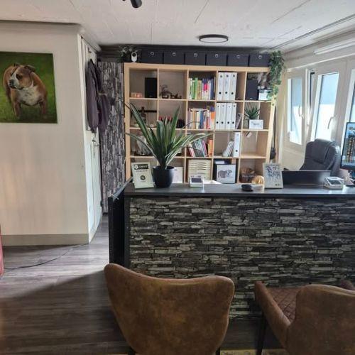 unsere Natur-Heilpraxis für Hunde