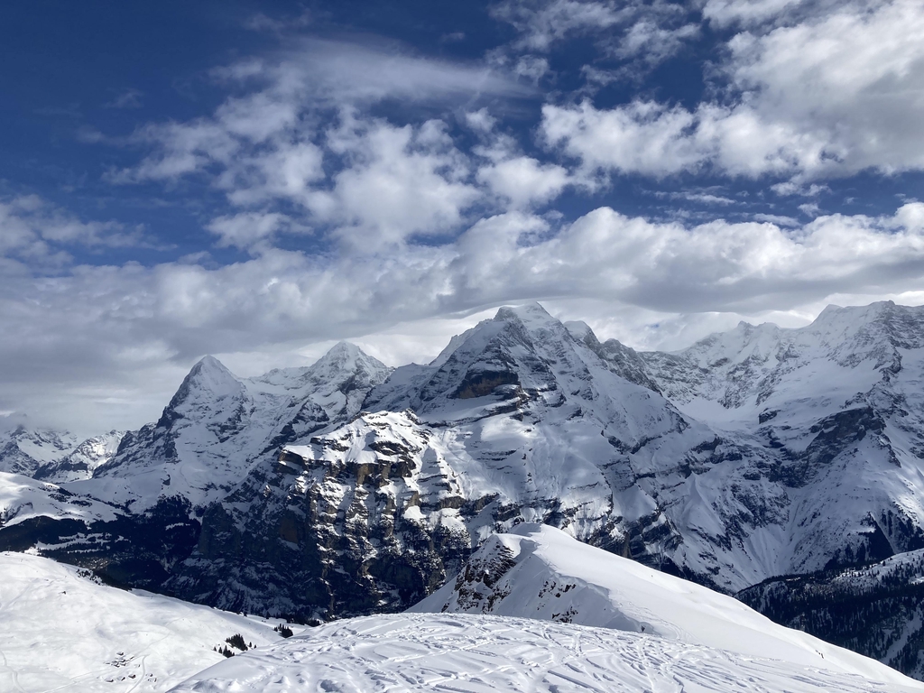 banner_image