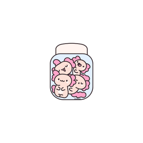 Violine Créations
Créatrice d'amigurumis et autres