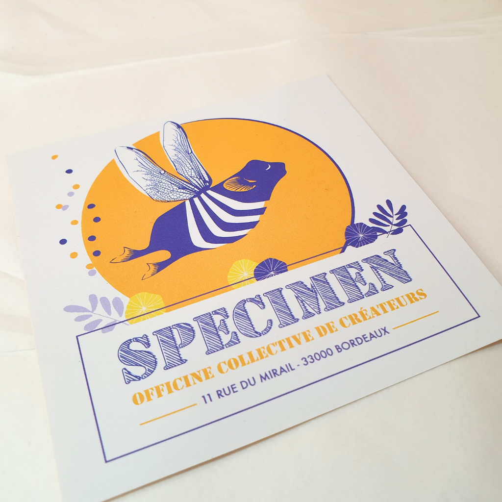 boutique de créateurs Spécimen à Bordeaux 