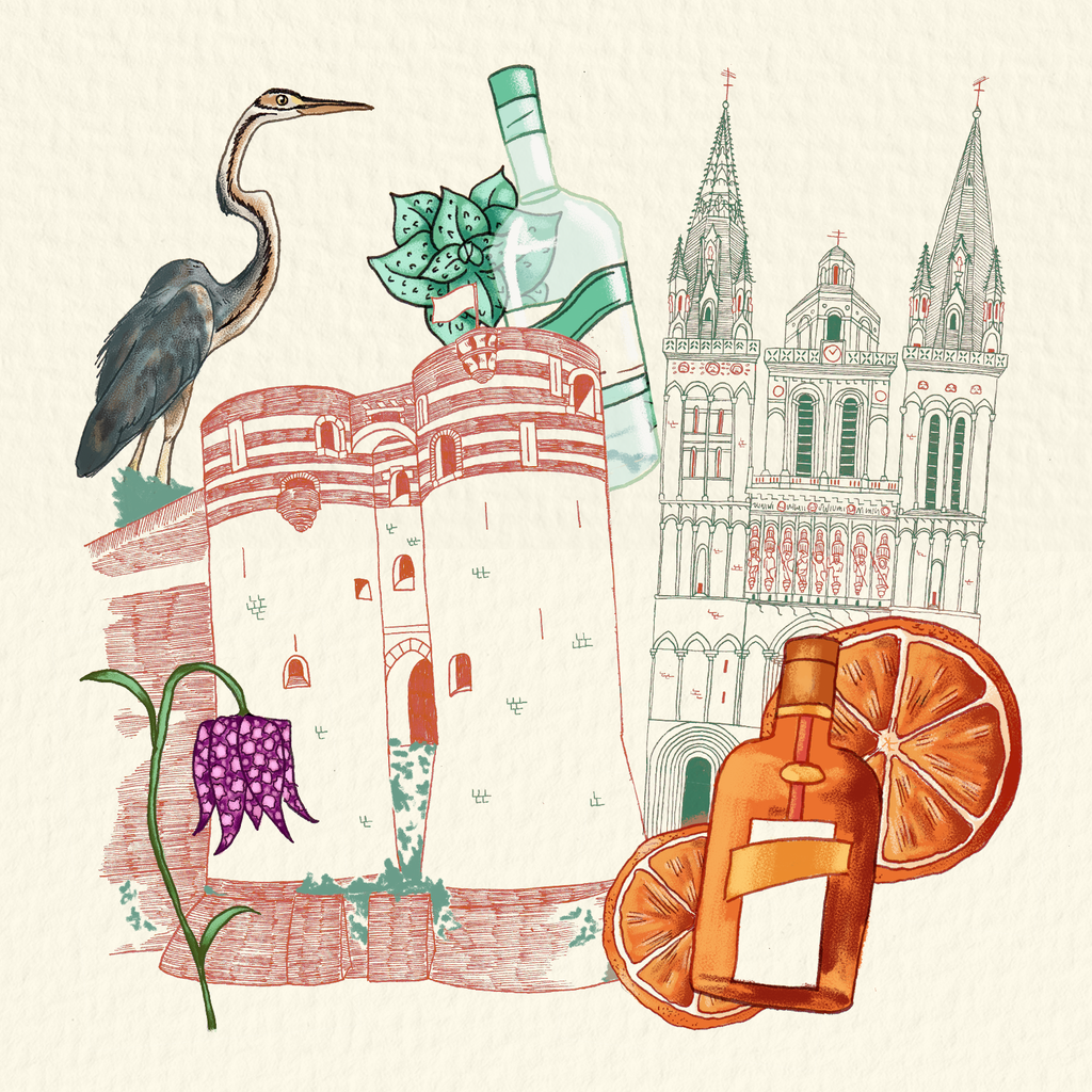 Pêle mêle d'illustrations de la collection Angers & Anjou : le château d'Angers, la cathédrale d'Angers, du Cointreau, de la menthe pastille, une gogane et un héron pourpré