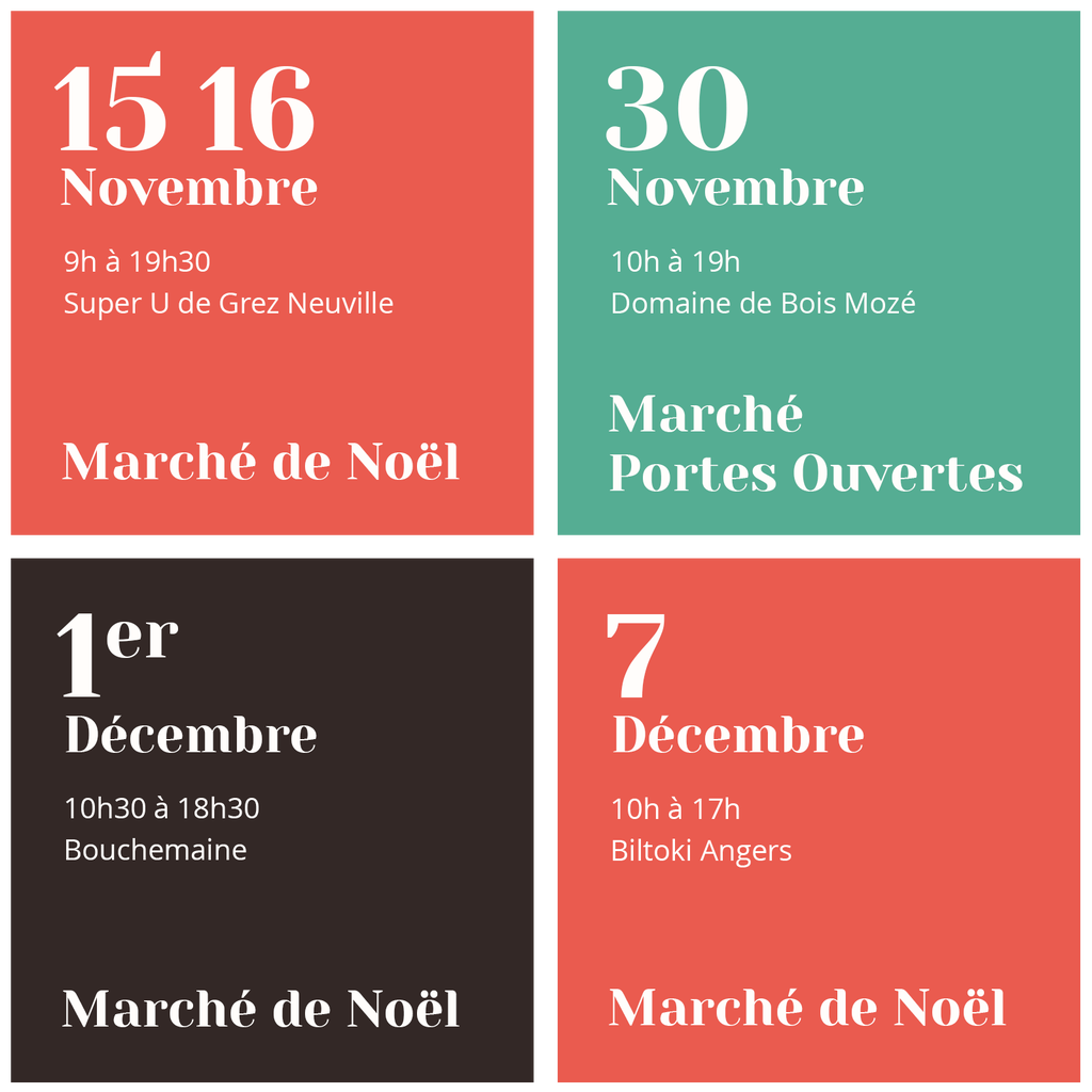 Dates de mes prochains marché créateurs où j'exposerai mes illustrations : 15 et 16 Novembre au Super U de Grez Neuville, 30 Novembre au Domaine de Bois Mozé, 1er Décembre à Bouchemaine et 7 Décembre à Biltoki