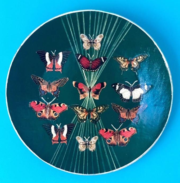 A decorative circular plate with a dark green background, featuring twelve colorful butterflies and moths arranged symmetrically in three vertical rows. The insects display vibrant patterns and colors, including shades of red, black, white, and brown. The plate is accented by a white rim and is set against a bright blue background.