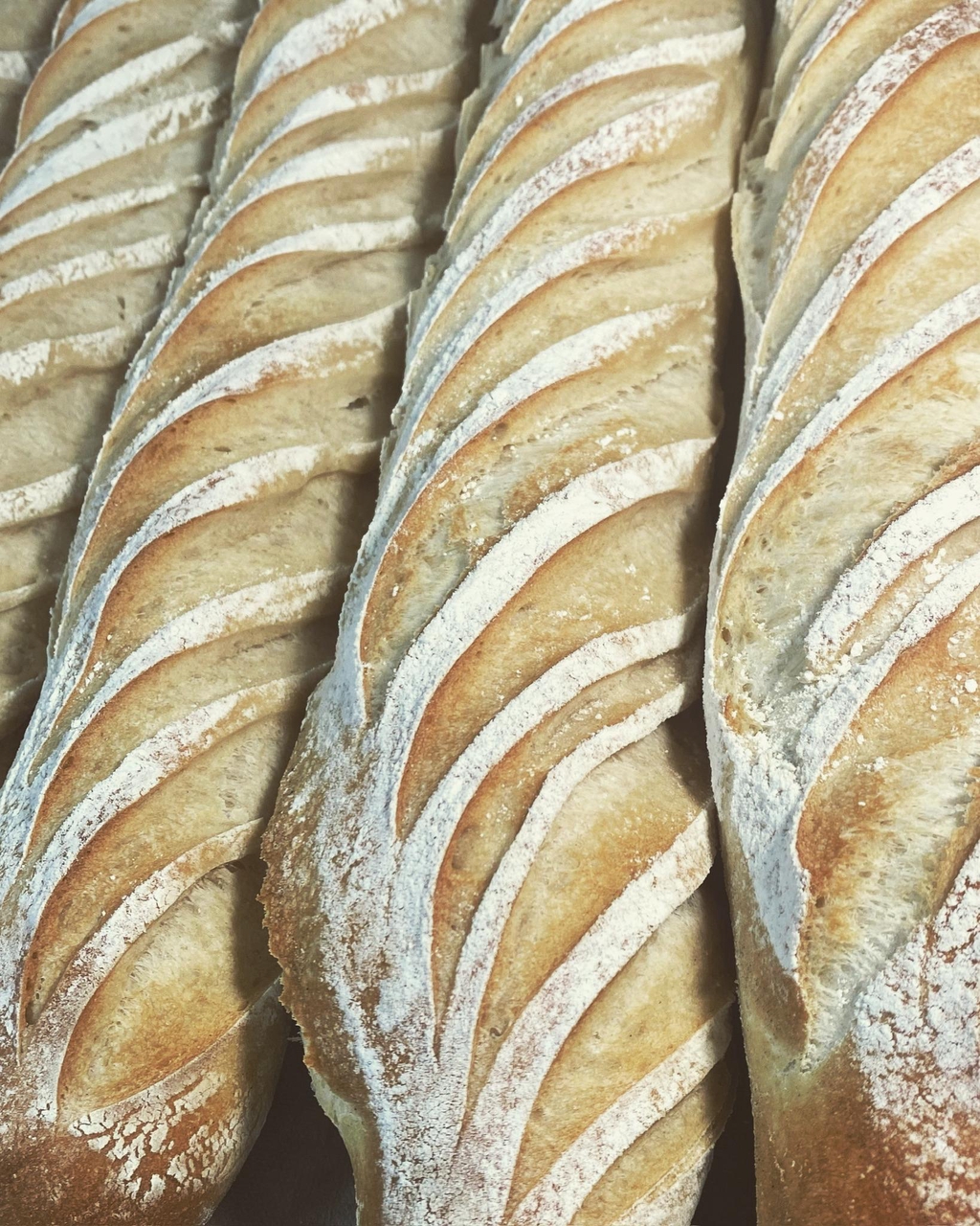 product_list_image_cover